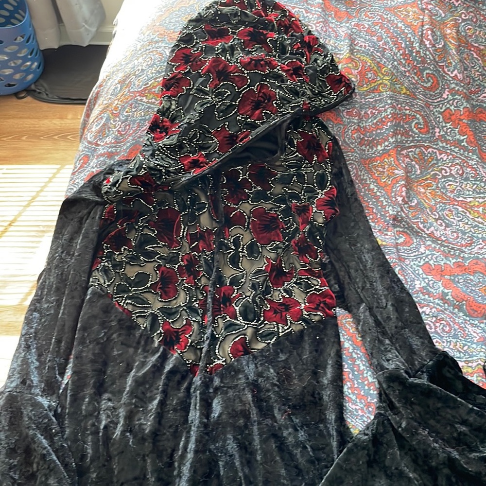 Vampire or Medieval Velvet Dress with Hood and Beading One Size